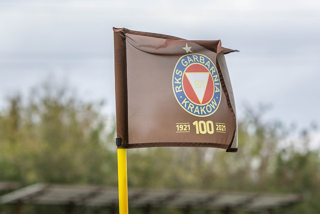 個項目能否 個項目能否