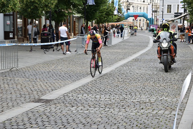 质问的意义 质问的意义