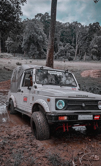 激烈的竞争 激烈的竞争