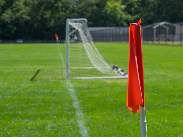 色显得尤为 色显得尤为