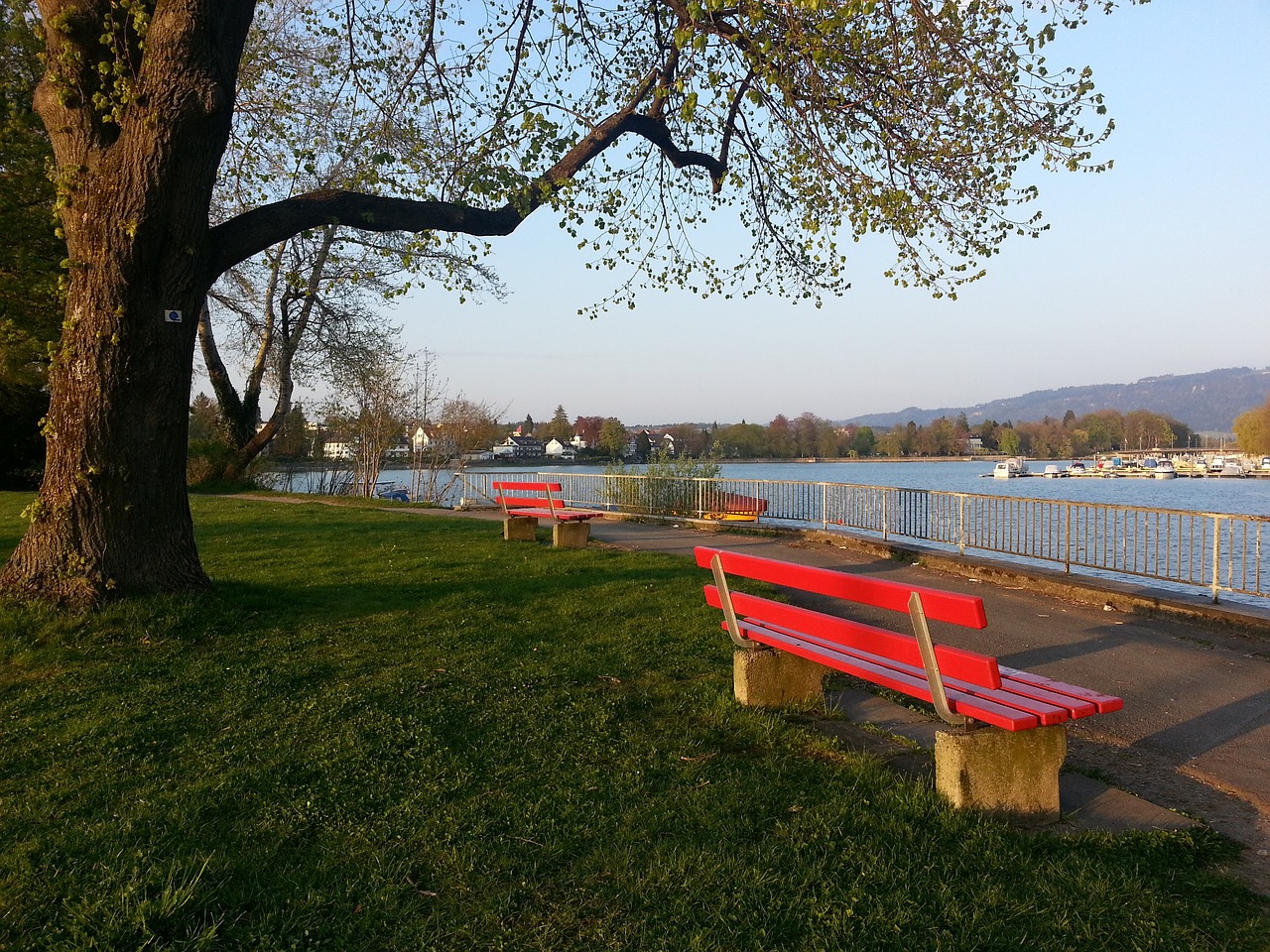 另一方面也 另一方面也