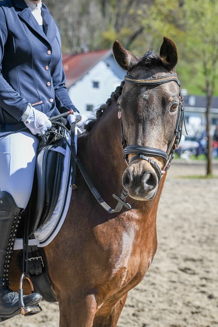 运动员在健 运动员在健