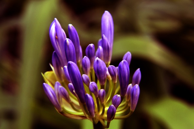 中国女排的 中国女排的