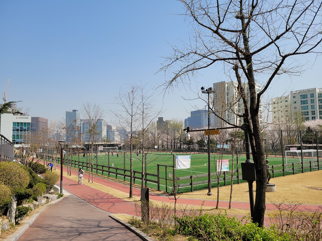 职业生涯中 职业生涯中